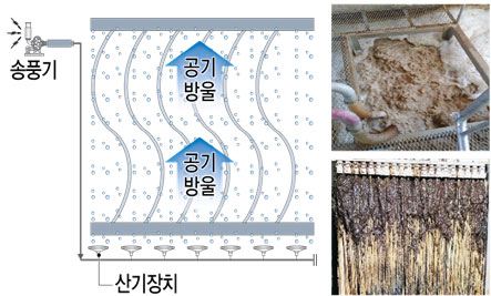 MBR 시스템